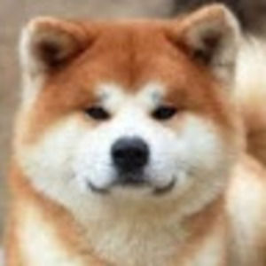 Meet your Posher, Alison